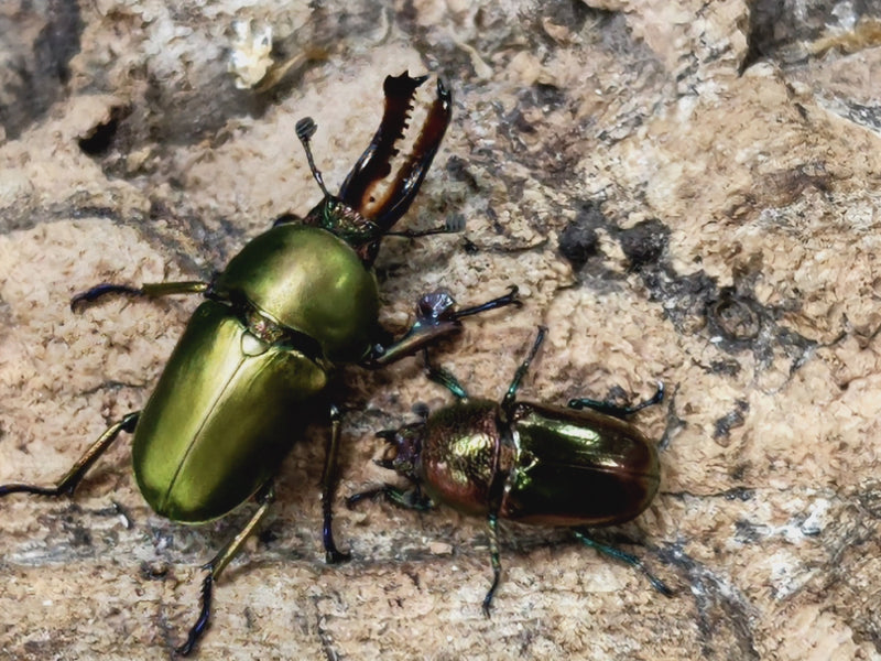 2022.9.12.新入荷!!