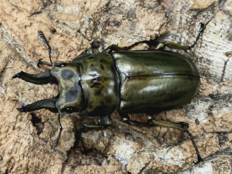 2022.9.15.新入荷!!