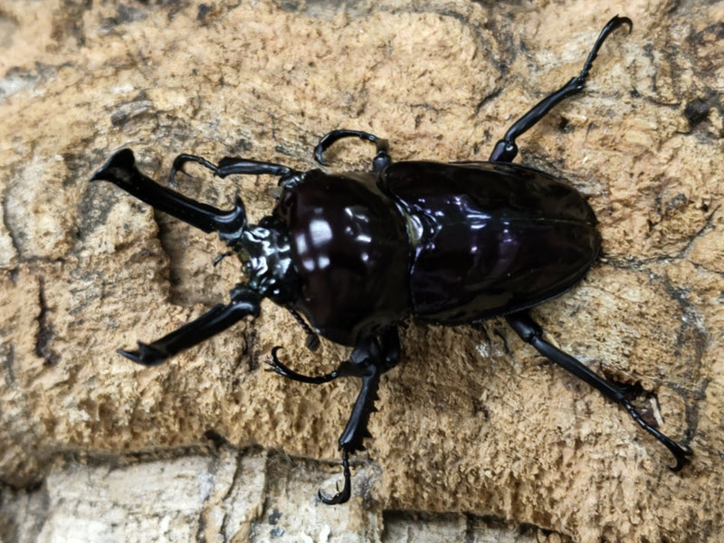 2022.9.19.新入荷!!