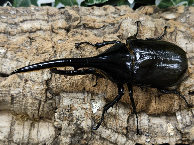 2022.9.20.新入荷!!