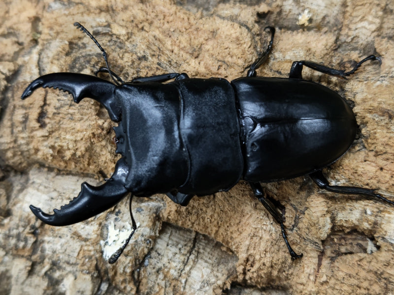 2022.9.22.新入荷!!