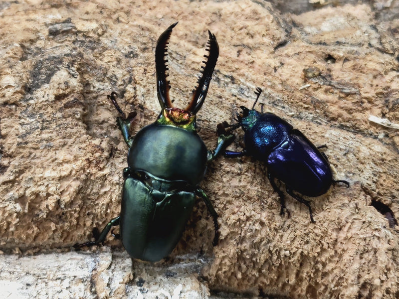 2022.9.23.新入荷!!