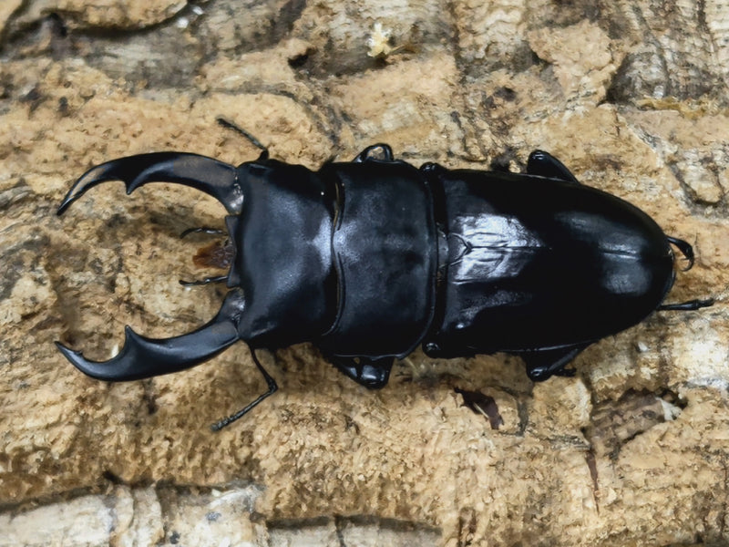 2022.9.24.新入荷!!