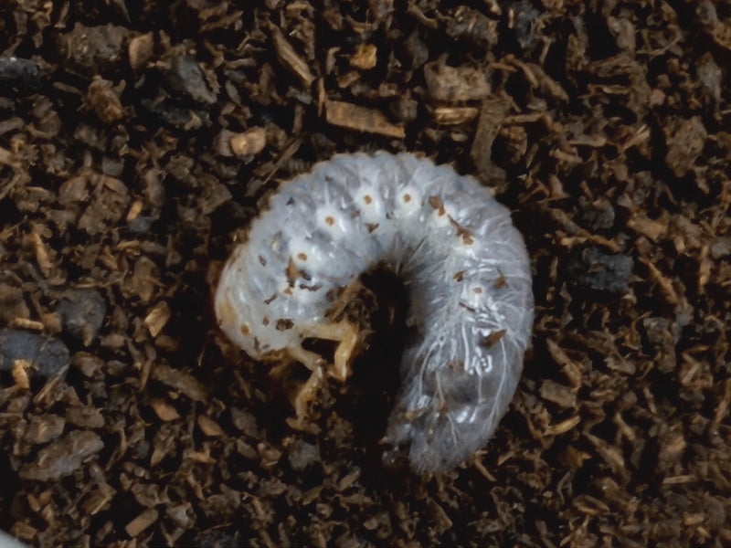 2022.9.25.新入荷!!