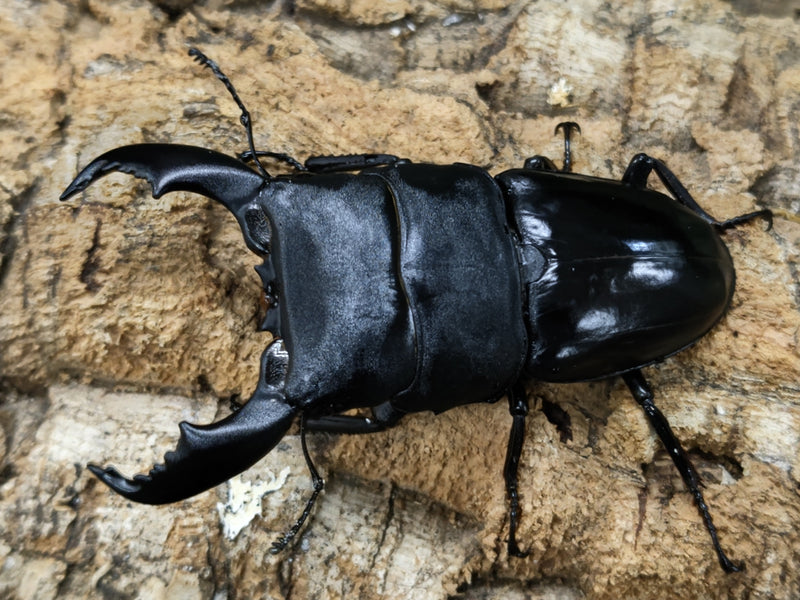 2022.10.2.新入荷!!