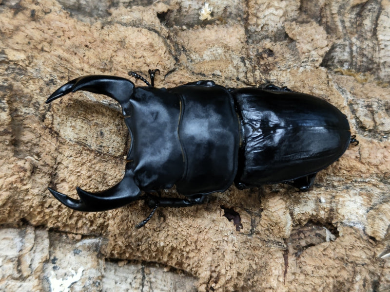 2022.10.4.新入荷!!