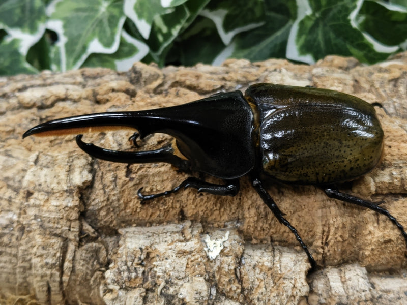 2022.10.6.新入荷!!