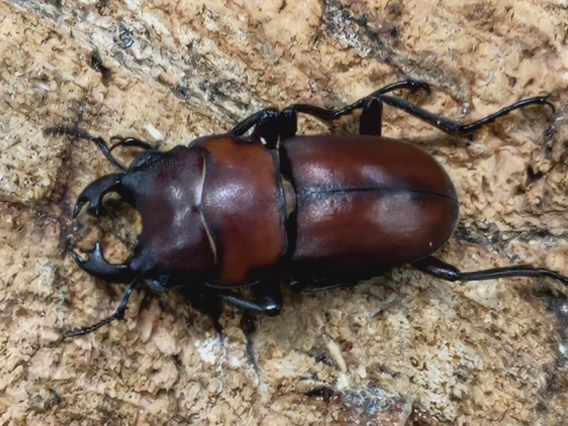 2022.10.8.新入荷!!