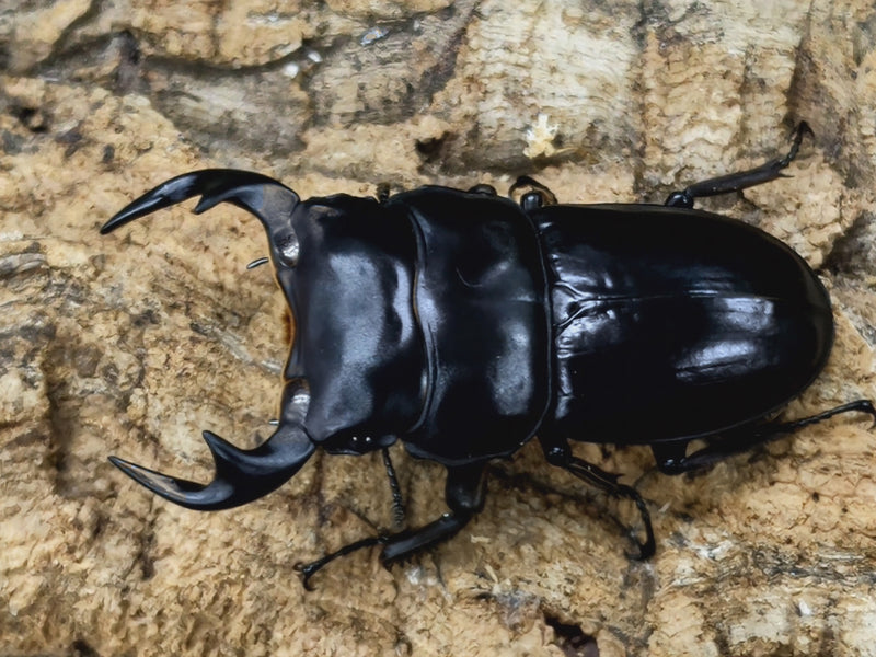 2022.10.9.新入荷!!