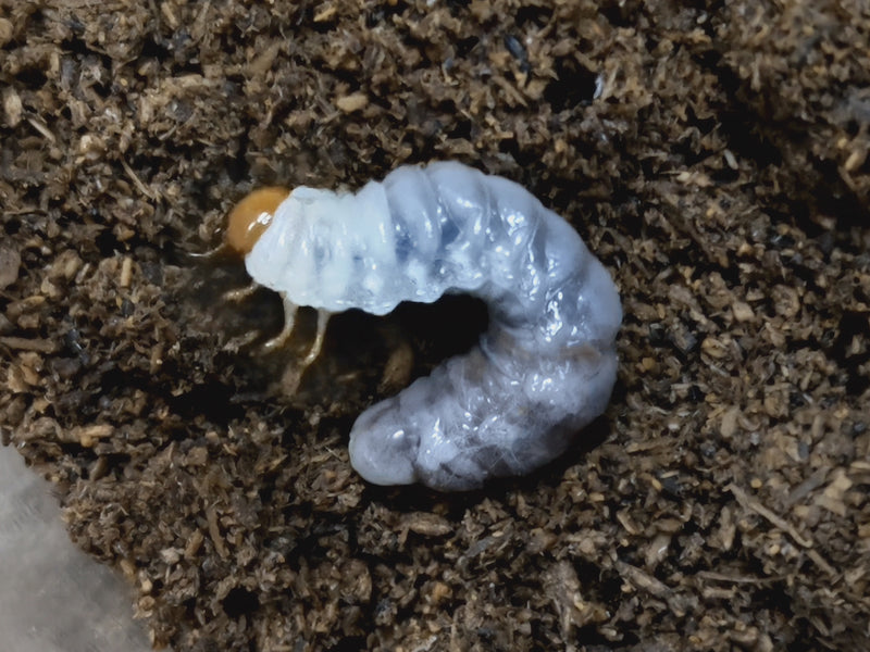 2022.10.10.新入荷!!