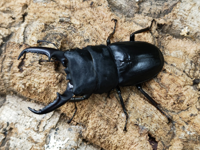 2022.10.14.新入荷!!