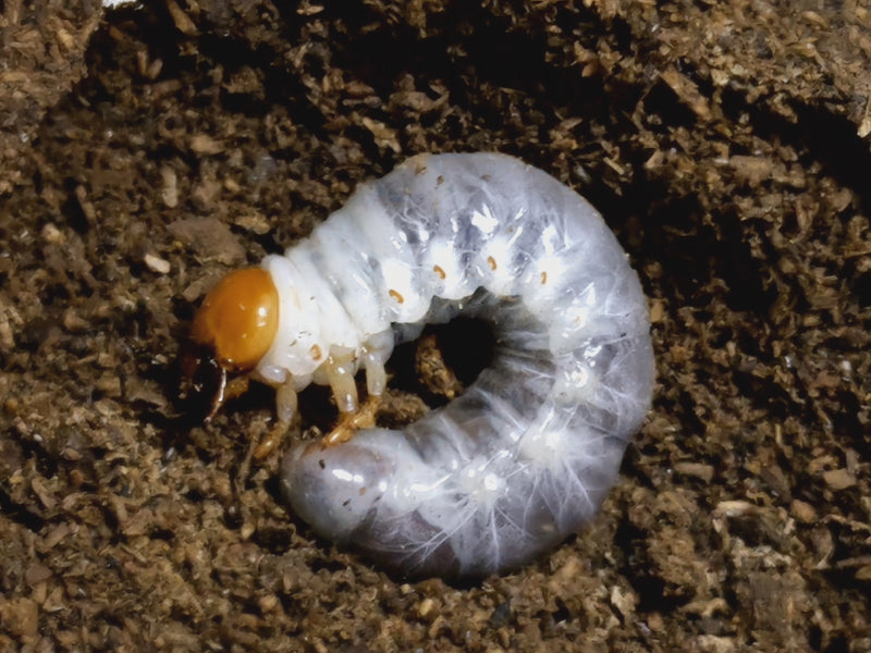 2022.10.16.新入荷!!