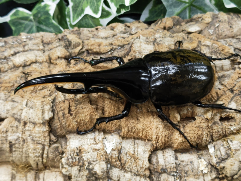 2022.10.17.新入荷!!