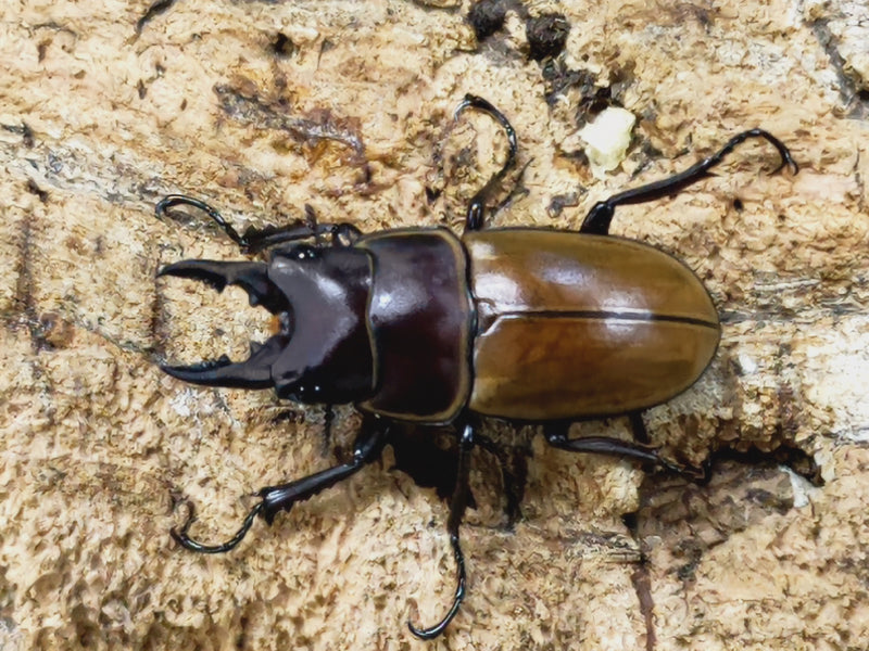 2022.10.18.新入荷!!