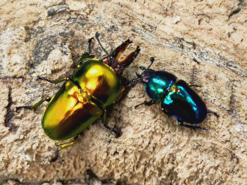 2022.10.20.新入荷!!