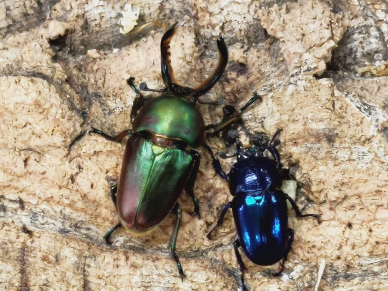 2022.10.21.新入荷!!