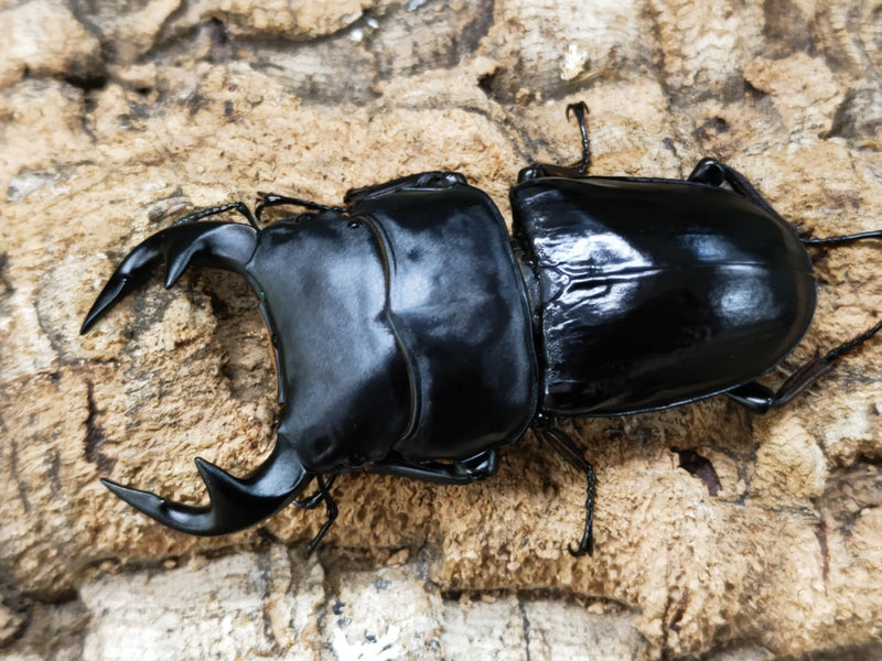 2022.10.22.新入荷!!