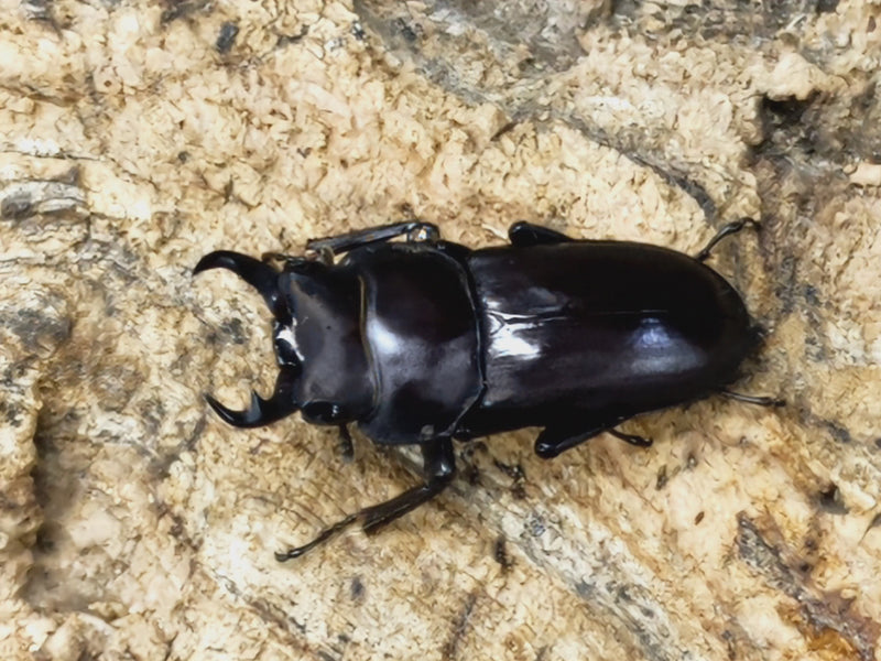 2022.10.23.新入荷!!