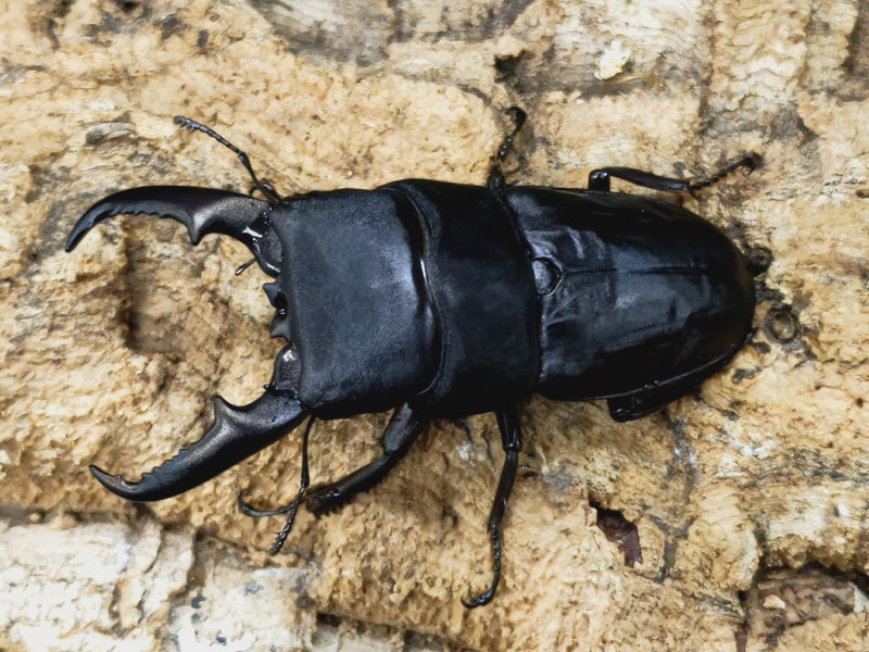 2022.10.24.新入荷!!