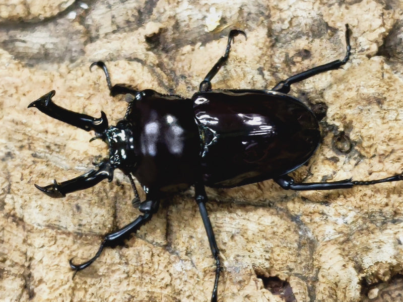 2022.10.25.新入荷!!