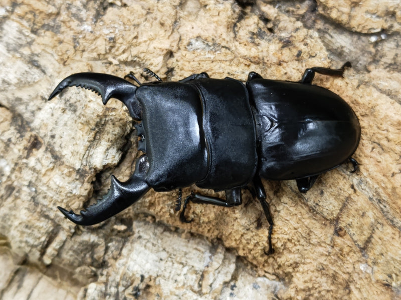 2022.10.27.新入荷!!