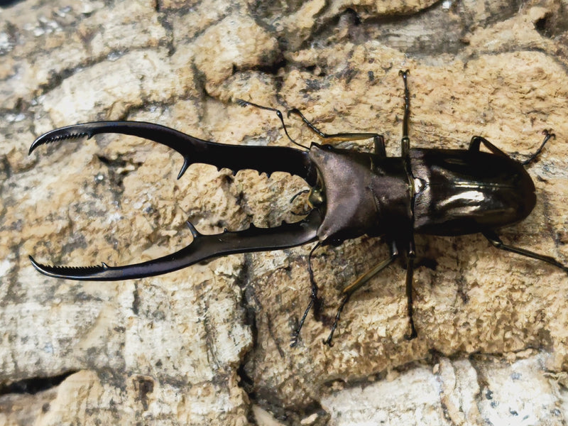 2022.10.28.新入荷!!