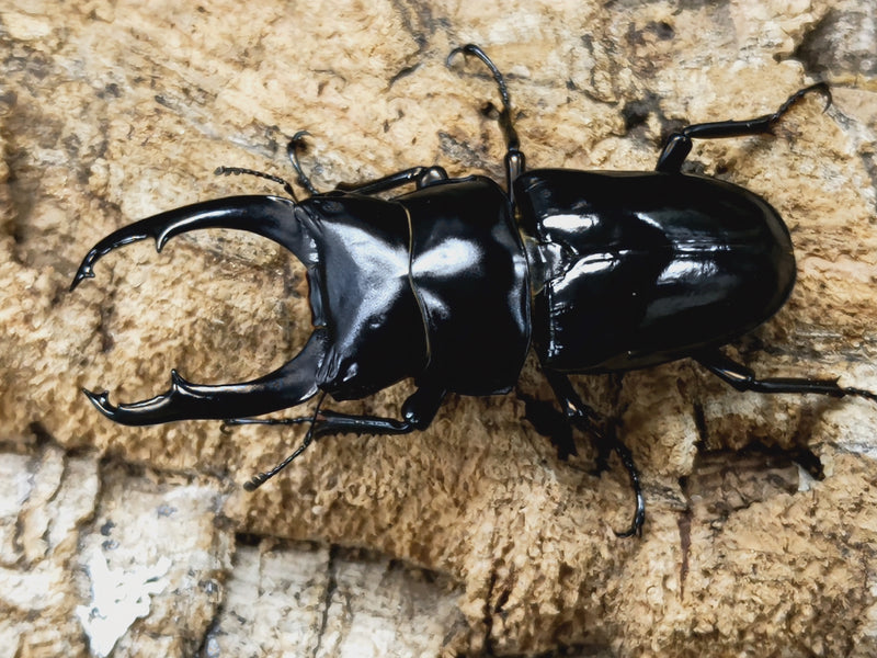 2022.10.30.新入荷!!