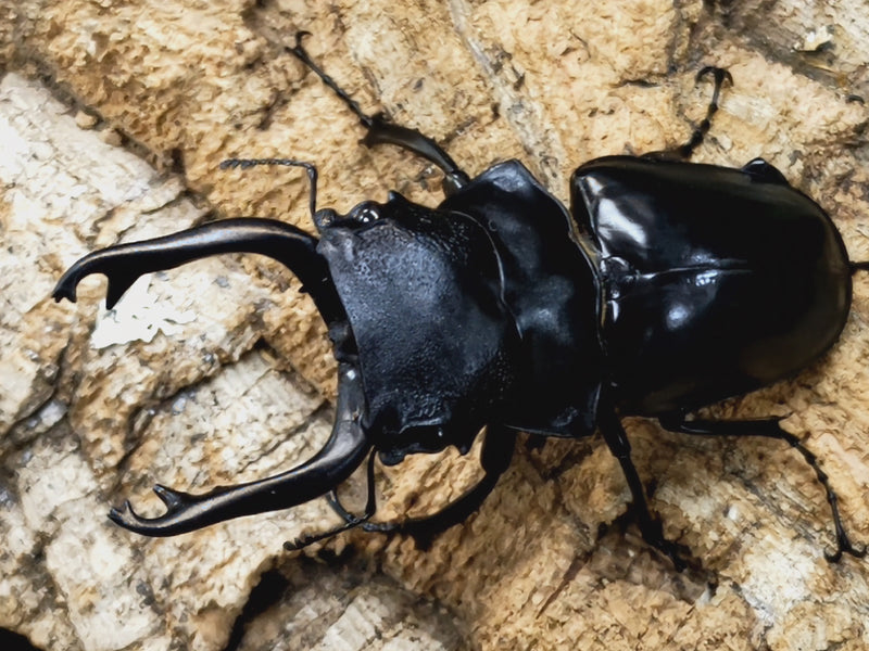 2022.11.1.新入荷!!