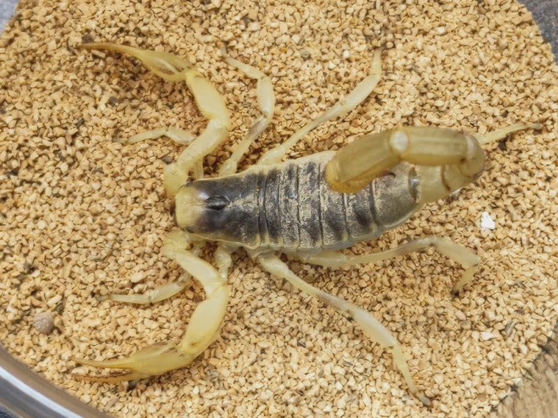 2022.11.4.新入荷!!