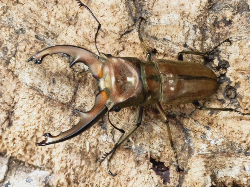 2022.11.10.新入荷!!