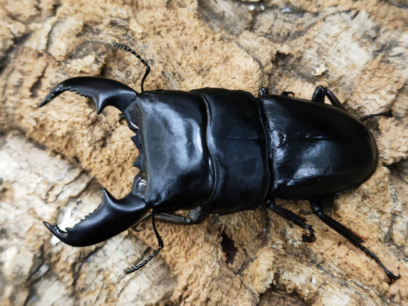 2022.11.11.新入荷!!