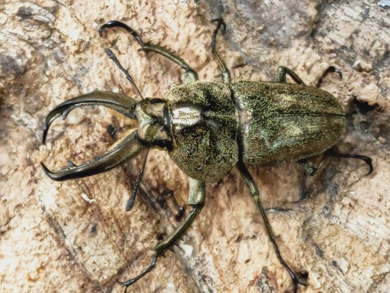 2022.11.13.新入荷!!