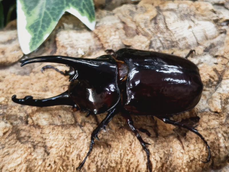 2022.11.19.新入荷!!