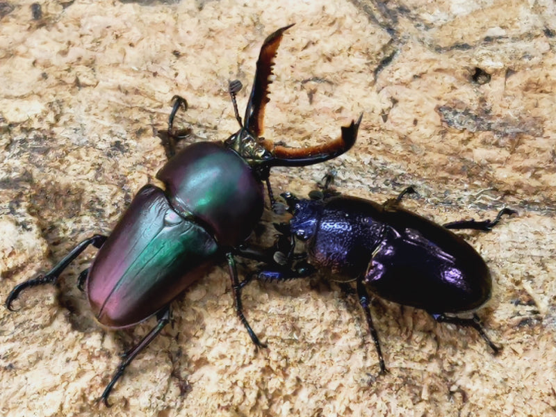 2022.11.26.新入荷!!