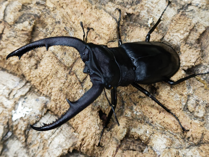 2022.11.27.新入荷!!