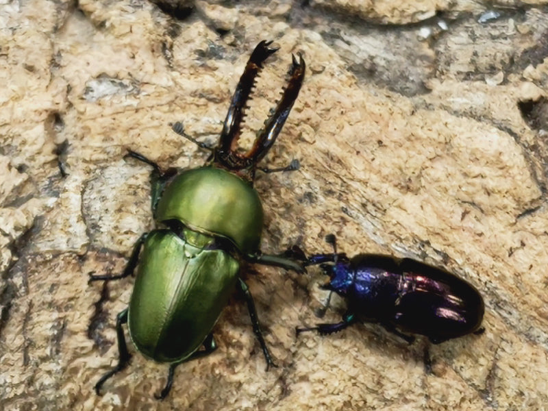 202212.1.新入荷!!