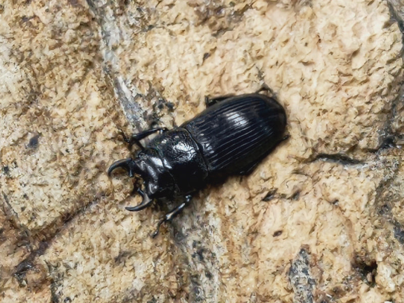 2022.12.2.新入荷!!