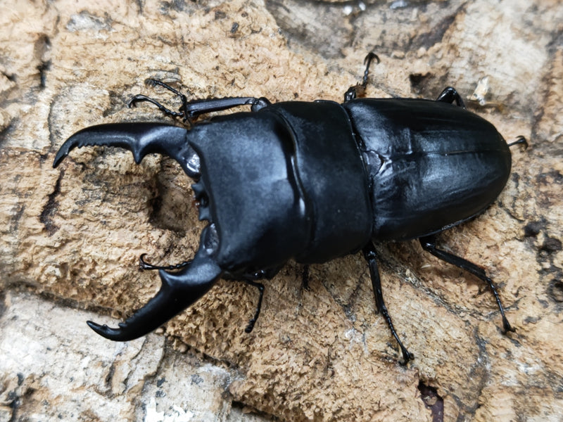 2022.12.4.新入荷!!