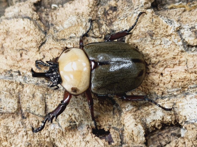 2022.12.5.新入荷!!