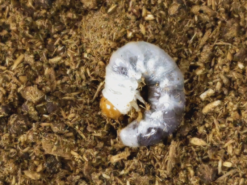 2022.12.6.新入荷!!