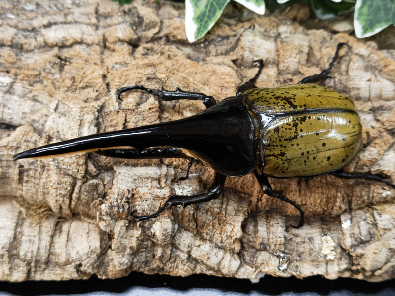 2022.12.9.新入荷!!