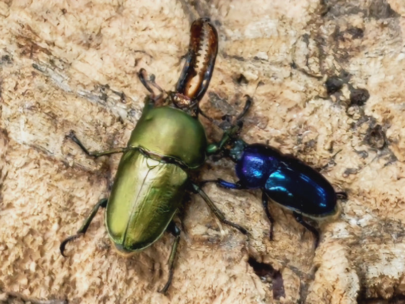 2022.12.11.新入荷!!