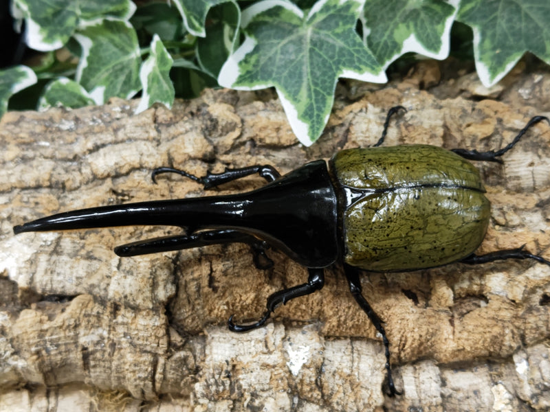 2022.12.15.新入荷!!