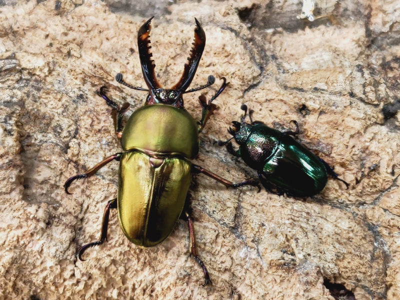 2022.12.17.新入荷!!