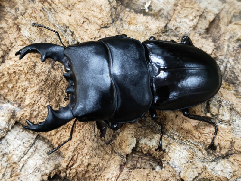 2022.12.18.新入荷!!