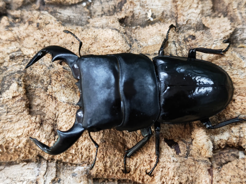 2022.12.19.新入荷!!