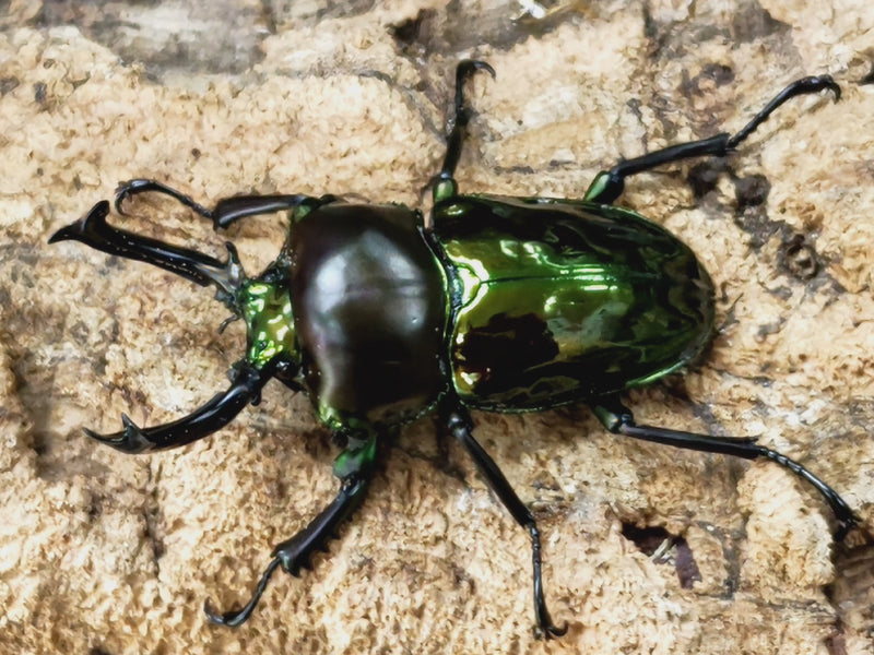 2022.12.20.新入荷!!