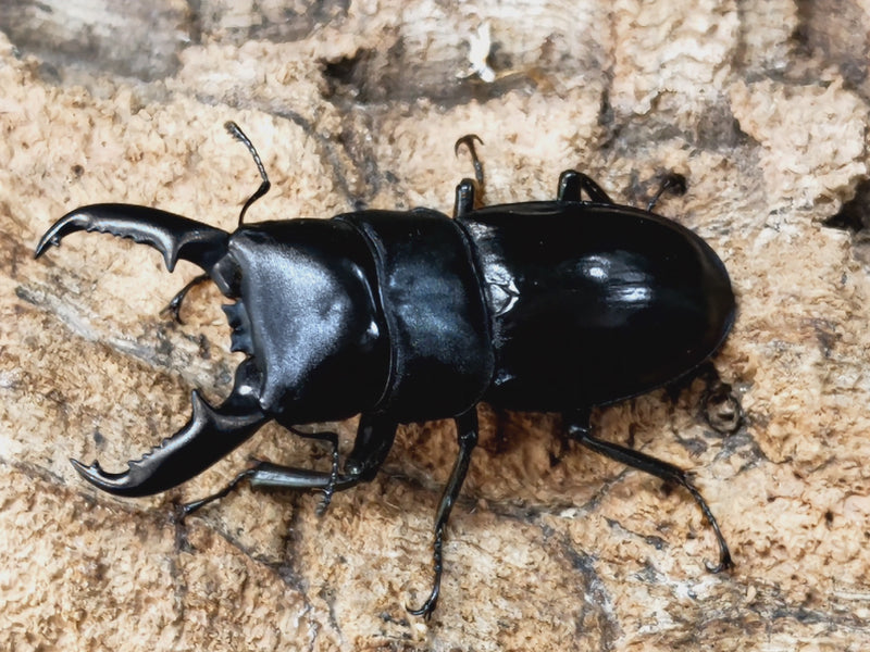 2022.12.22.新入荷!!