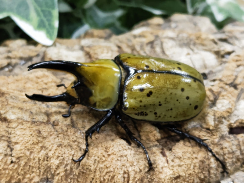 2022.12.23.新入荷!!