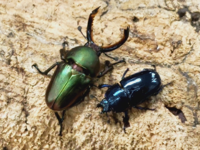 2022.12.25.新入荷!!